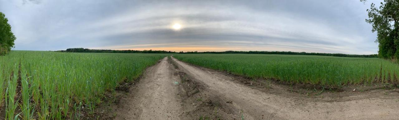 Dom Nad Jeziorem Gaja House Jadamowo Zewnętrze zdjęcie